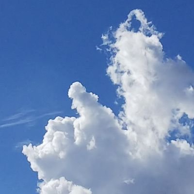 八木奈々ファンサイト
